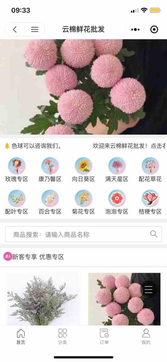 云棉鲜花批发
