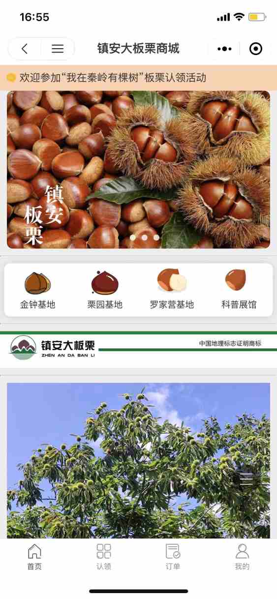 镇安大板栗商城
