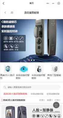 洛克曼I智能锁