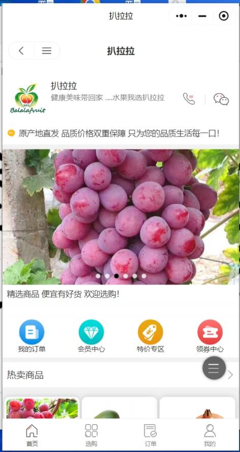 扒拉拉fruit