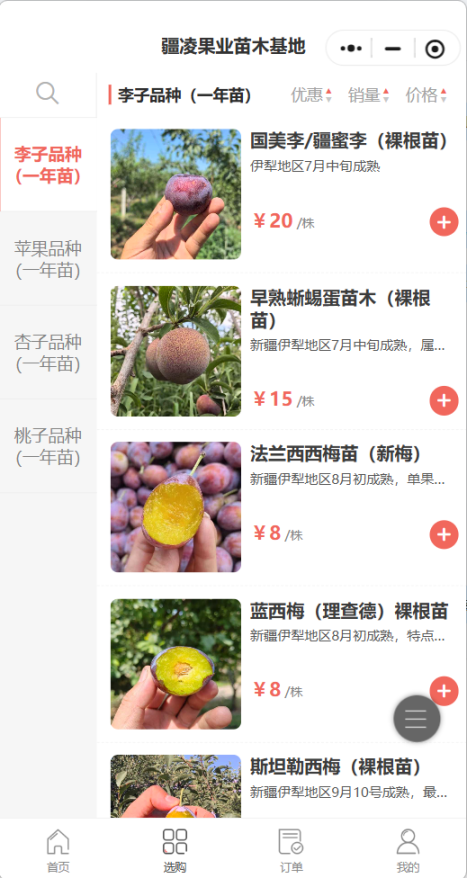 疆凌果业苗木基地