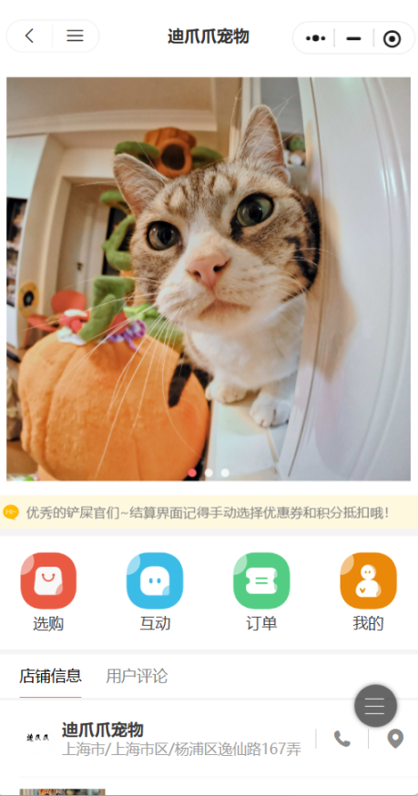 迪爪爪宠物