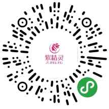 紫精灵实体店网上商城
