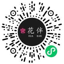 节日花同城鲜花店订花送花
