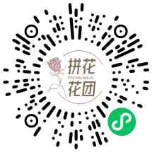 拼花花团