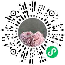 云棉鲜花批发