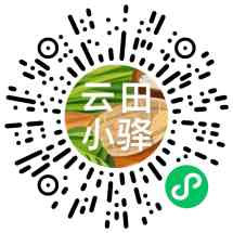 云田小驿
