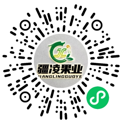 疆凌果业苗木基地