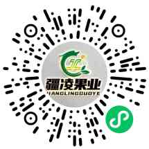 疆凌果业苗木基地