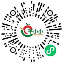 平小小